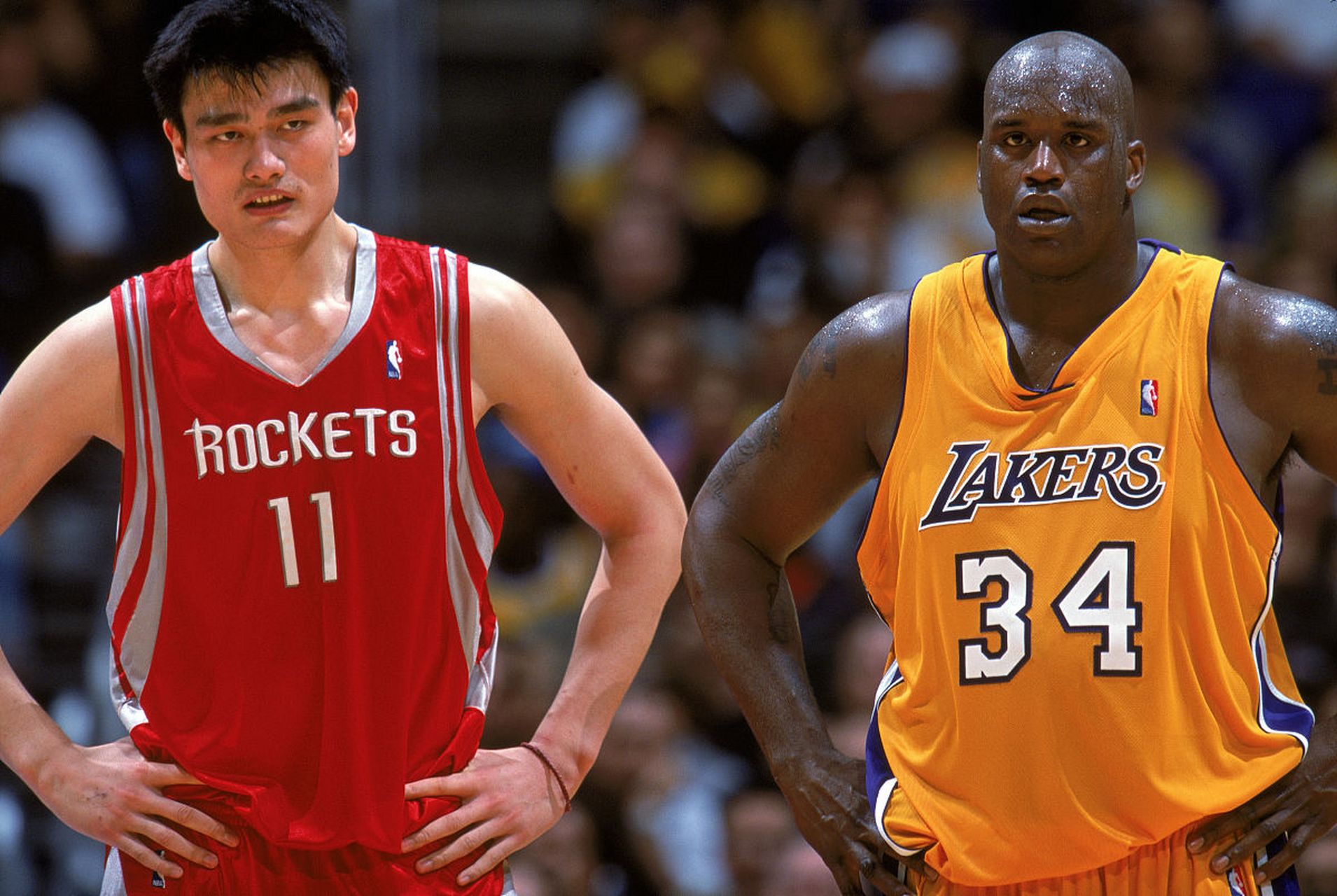详细阅读:nba没拿过总冠军的队伍(nba没拿过总冠军的队伍有哪些) nba没拿过总冠军的队伍(nba没拿过总冠军的队伍有哪些)